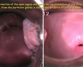 Our homemade video of a woman and a girl who are just too good for each other!