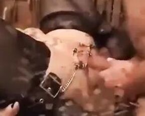 Get ready for a wild ride as your ass takes a hardcore pounding